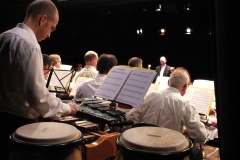 1_Concert-Nouvel-An-2014-064