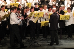 1_Concert-Nouvel-An-2014-084