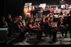 1_Concert-Nouvel-An-2014-112