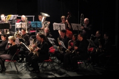 1_Concert-Nouvel-An-2014-113