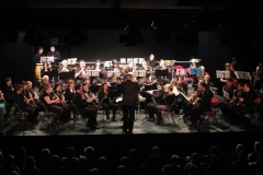 1_Concert-Nouvel-An-2014-148