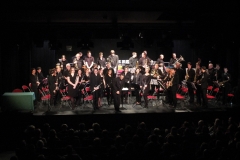 1_Concert-Nouvel-An-2014-174