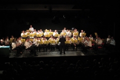 1_Concert-Nouvel-An-2014-178