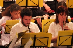 1_Concert-Nouvel-An-2014-182