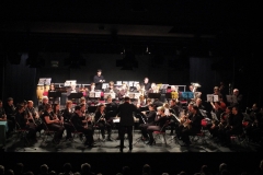 1_Concert-Nouvel-An-2014-184