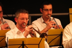 2_Concert-Nouvel-An-2014-013