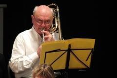 2_Concert-Nouvel-An-2014-022