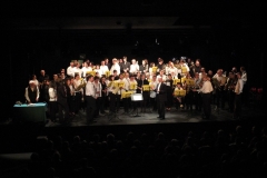 2_Concert-Nouvel-An-2014-072