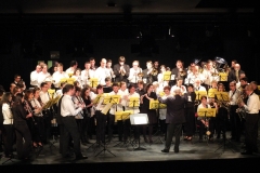 2_Concert-Nouvel-An-2014-077