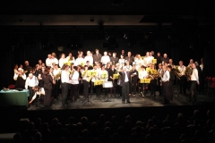 2_Concert-Nouvel-An-2014-086