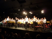 2_Concert-Nouvel-An-2014-103