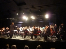 Concert-Nouvel-An-2014-004