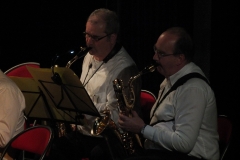 Concert-Nouvel-An-2014-019