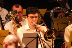 Concert-Nouvel-An-2014-024