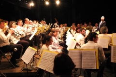 Concert-Nouvel-An-2014-071