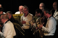 Concert-Nouvel-An-2014-078