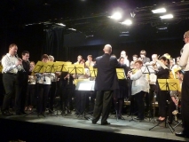 Concert-Nouvel-An-2014-106
