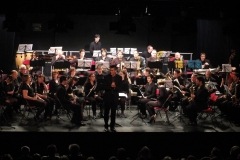 Concert-Nouvel-An-2014-108