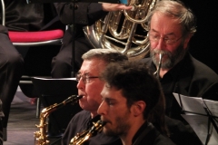 Concert-Nouvel-An-2014-143