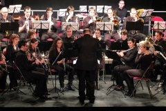 Concert-Nouvel-An-2014-150