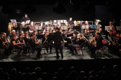 Concert-Nouvel-An-2014-154