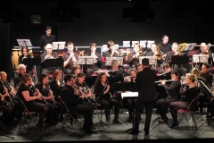 Concert-Nouvel-An-2014-171